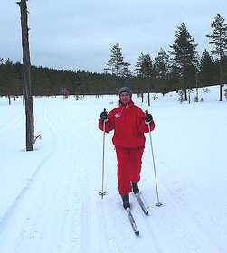 Skridskobild