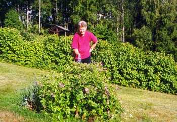  Sommar -01