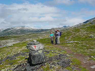 Skridskobild