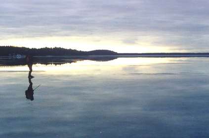 Skridskobild